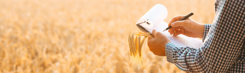 Λογιστικές Υπηρεσίες